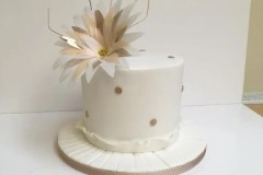 Cake-7